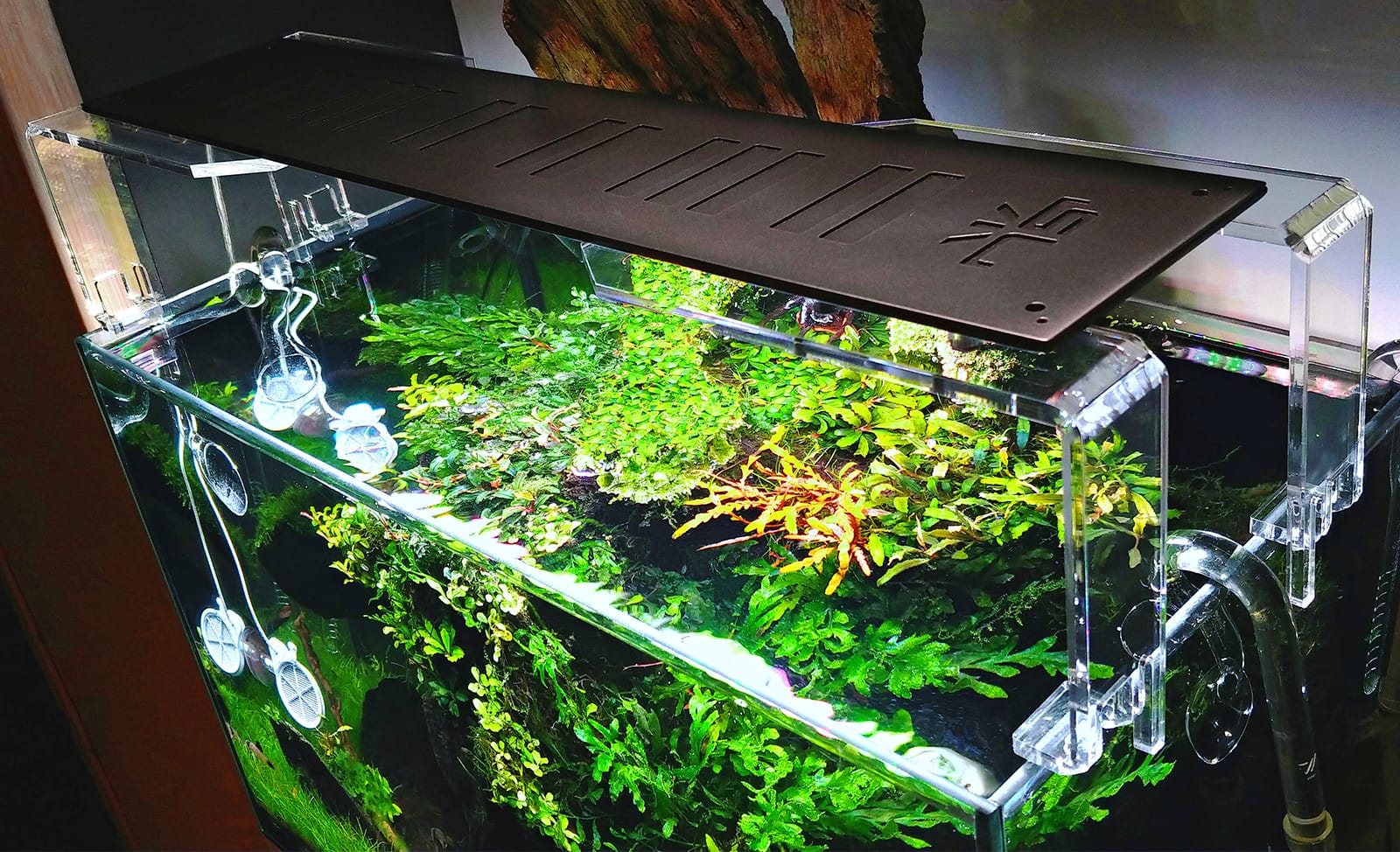 SKYLIGHT AQI Acryl Stand Aquasabi Aquaristik Shop