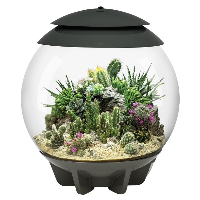 https://www.aquasabi.de/media/image/product/26542/md/oase-biorb-air-30.jpg