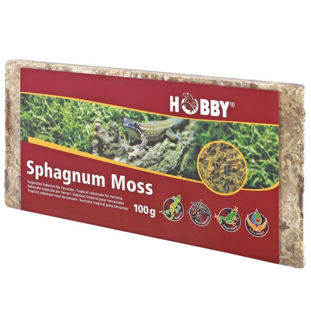 Hobby - Spaghnum Moss - 100 g