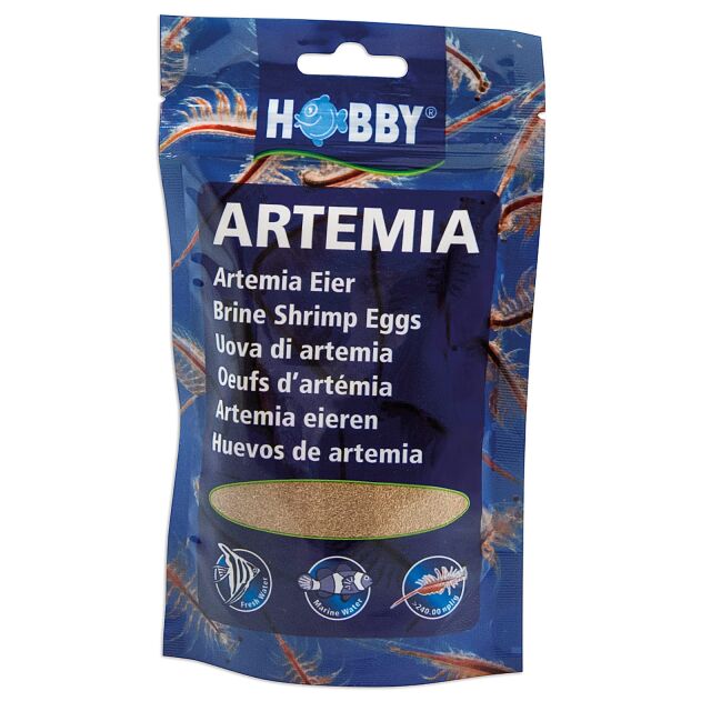 Hobby - Artemia Eier