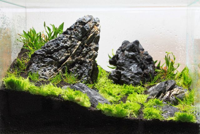 Ancient Stone Glued Aquascape for Nano Aquarium 