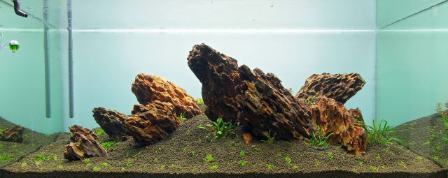 a newly decorated aquarium