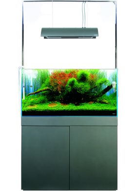 Christian Pittig Streven Let's start with A: W90 - Aquascaping Wiki | Aquasabi