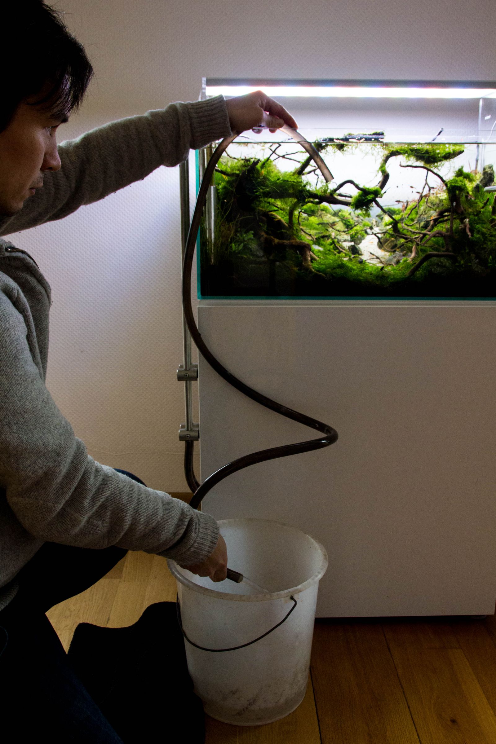 Aquarium Pflege - Aquascaping Wiki | Aquasabi